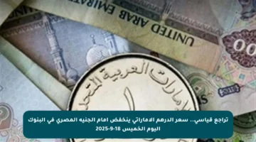 تراجع قياسي.. سعر الدرهم الإماراتي ينخفض أمام الجنيه المصري في البنوك اليوم الخميس 18-9-2025